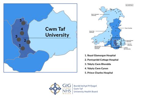 Cwm Taf University Health Board - Richmond Nursing Agency Ltd