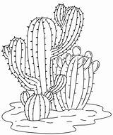 Cactus coloring page  Free Printable Coloring Pages sketch template