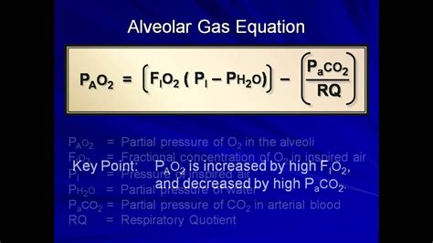 Normal Gas Exchange (Mechanical Ventilation - Lecture 4) - YouTube