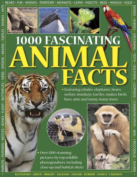 1000 Fascinating Animal Facts (covers marked from shop display ...