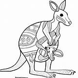 Baby Kangaroo Coloring Pages sketch template