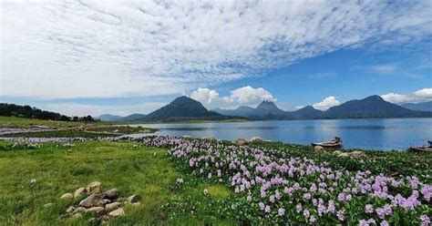 Wisata Alam Menawan Waduk Jatiluhur, Purwakarta, Untuk Habiskan Liburan - PanduanWisata.id