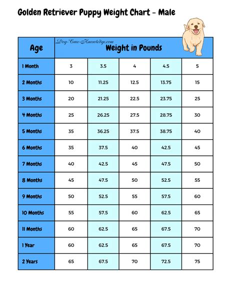 Understanding Your Golden Retriever Puppy Weight Chart