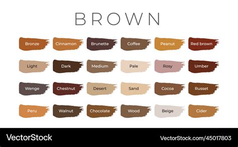 Brown paint color swatches with shade names Vector Image