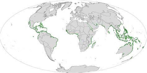 Mapping Mangroves by Satellite : Image of the Day