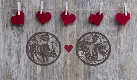 Ox and Dragon Love Compatibility: A Sweet Relationship