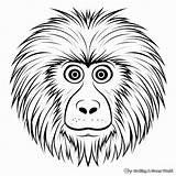 Baboon Coloring Pages  Free & Printable sketch template