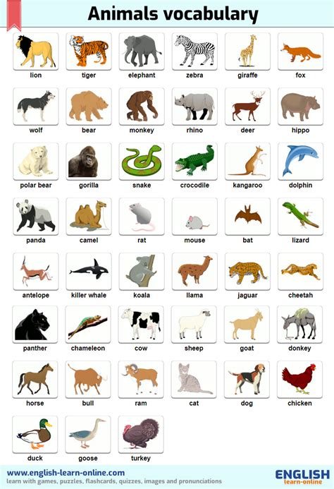 Names of Animals in English: Flashcards Tests Pronunciations | Learn ...