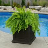 Mayne Fairfield 20" x 20" x 20" Square Black Self-Watering Polyethylene ...