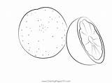 Grapefruit Cut Coloring Page For Kids  Free Printable sketch template