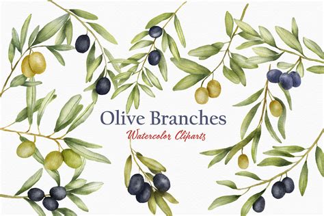 Olive Branch Watercolor Clipart Leaves Graphic by JoyDigitalDesign by Elena Platova · Creative ...