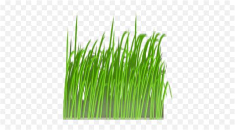 Grass Clipart - Roblox Grass Clip Art Png,Grass Clipart Transparent - free transparent png ...