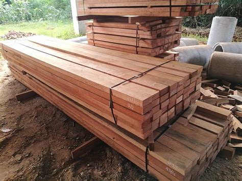 Malaysian Meranti – Pradeep Timber Mart