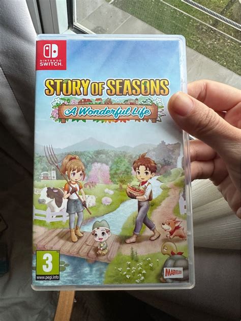 Nintendo switch game - Story of Seasons A Wonderful Life, Video Gaming ...