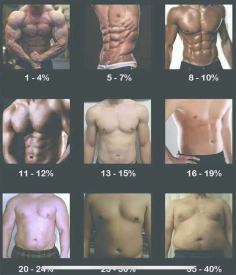 What’s your body fat percentage? | Fitness - Blind