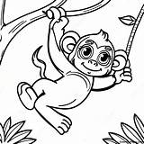 Playful Monkey Swinging Coloring Page  Pagescom sketch template
