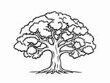 Gorgeous Oak Tree Coloring Page  sketch template