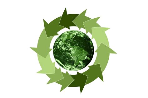 Haz que tu empresa utilize envases ecológicos para cuidar y tomar conciencia del entorno ...