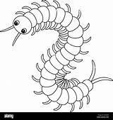 Millipede Coloring Pages sketch template