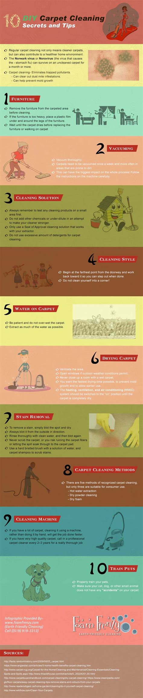 DIY Carpet Cleaning Tips | InfographicSubmission.com