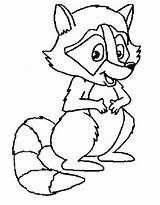 Raccoon Coloring Pages Free Printable PDF sketch template