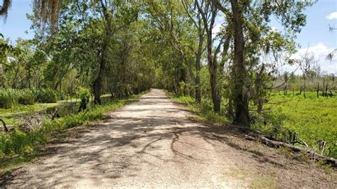 Brazos Bend State Park Figure Eight Loop Running Trail, Rosharon, Texas