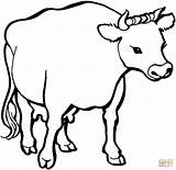 Cow 1 coloring Page  Free Printable Coloring Pages ClipArt Best sketch template