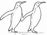 Adelie Penguin Coloring Page At GetColoringscom  Free Printable sketch template