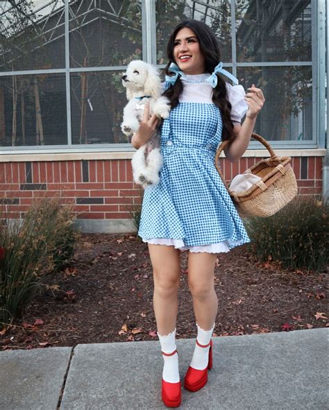 Dorothy & Toto | Hot halloween outfits, Classy halloween costumes, Dorothy halloween costume