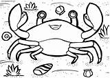 Crab Coloring Pages Printable For Free Download sketch template