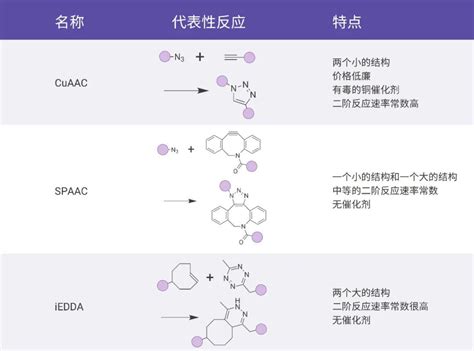 靶向治疗！获诺奖的 “点击化学” 原来可以这么用 - MedChemExpress - 知乎