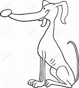 Whippet Coloring Pages At GetColoringscom  Free Printable Colorings sketch template