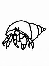 Hermit Crab Coloring Pages Printable For Free Download sketch template