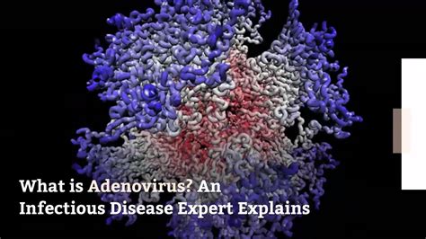 What is Adenovirus? An Infectious Disease Expert Explains [Video]