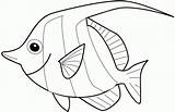 Angelfish coloring Page  Free Printable Coloring Pages sketch template
