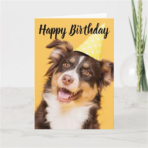 Happy Birthday Party Animal Card | Zazzle in 2022 | Happy birthday ...