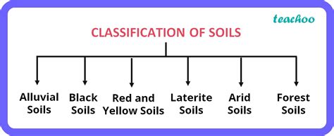 [Geography Class 10] Classification of soils & Different types of Soil