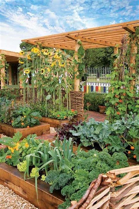 6 Ultimate gardening tips for spring | Vegetable garden design, Garden planning, Home vegetable ...