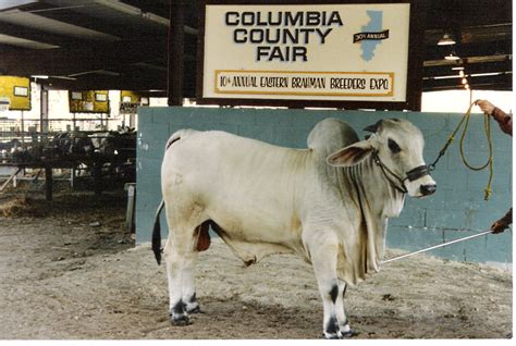 Columbia County Fair 1 – Redneck Perspectives