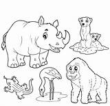 Animal Coloring Pages 14 Zoo sketch template