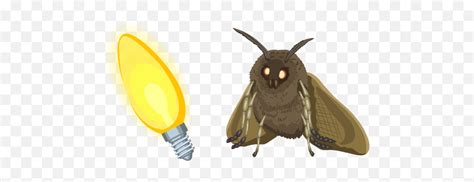 Moth Lamp Meme Cursor U2013 Custom Browser Extension - Moth Meme Png Transparent,Meme Png ...