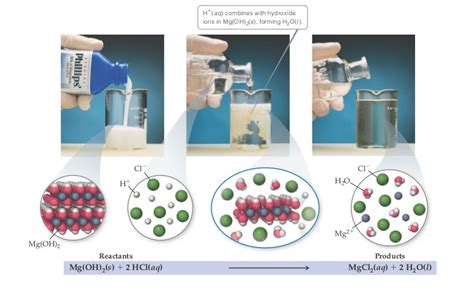 Neutralization reaction between Mg(OH)2(s)... | Clutch Prep