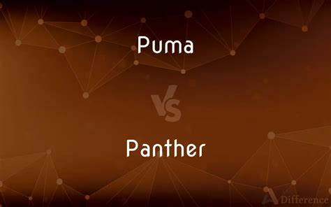 Puma vs. Panther — What’s the Difference?