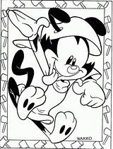 Animaniacs Coloring Pages To Print sketch template