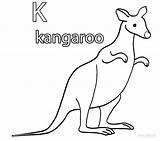 Printable Kangaroo Coloring Pages For Kids  Cool2bKids sketch template
