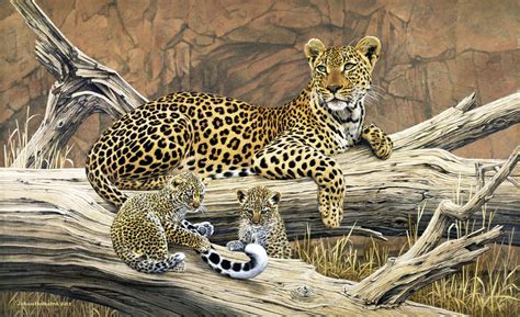 Johan Hoekstra Wildlife Art Collection | The Very Best of Johan ...