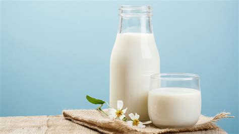 Apa itu Susu Pasteurisasi? Fakta dan Manfaatnya - MHomecare Blog