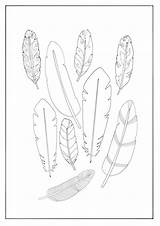 Feather Coloring Pages  Ceplok Colors sketch template