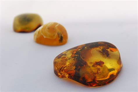 Amber stones in perspective Free Photo Download | FreeImages