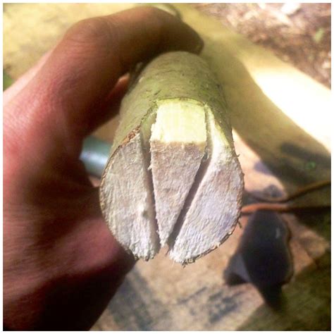 How To…. Make and Use a Simple Flint Knife – Bushcraft Days